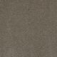 Show Time Residential Carpet Color: Soapstone - Dreamweaver by Engineered Floors