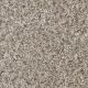 Jackson Hole II Residential Carpet Color: Snow River - Dreamweaver by Engineered Floors