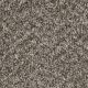 West Brow Residential Carpet Color: Lace Agate - Dreamweaver by Engineered Floors