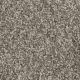 West Brow Residential Carpet Color: Desert Jasper - Dreamweaver by Engineered Floors