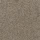 Trendsetter II Residential Carpet Color: Oxford Stone - Dreamweaver by Engineered Floors