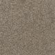 Trendsetter I Residential Carpet Color: Oxford Stone - Dreamweaver by Engineered Floors