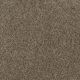 Trendsetter I Residential Carpet Color: Smokey Taupe - Dreamweaver by Engineered Floors