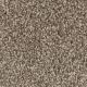 West Brow Residential Carpet Color: Toasted Chestnut - Dreamweaver by Engineered Floors