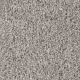 Knockout II Residential Carpet Color: Antique Cameo - Dreamweaver by Engineered Floors
