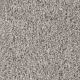 Knockout I Residential Carpet Color: Antique Cameo - Dreamweaver by Engineered Floors