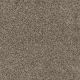 Trendsetter I Residential Carpet Color: Trail Creek - Dreamweaver by Engineered Floors
