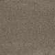 Toast of the Town Residential Carpet Color: Marble Heights - Dreamweaver by Engineered Floors