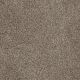 Trendsetter I Residential Carpet Color: Soft Tan - Dreamweaver by Engineered Floors