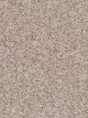 Confetti I Residential Carpet Color: Ivory Tower - Dreamweaver by Engineered Floors