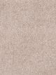 Show Stopper II Residential Carpet Color: Oak Barrel - Dreamweaver by Engineered Floors