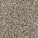 West Brow Residential Carpet Color: Granite - Dreamweaver by Engineered Floors