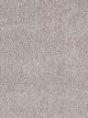 Show Stopper II Residential Carpet Color: Cinnamon Toast - Dreamweaver by Engineered Floors