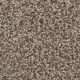 West Brow Residential Carpet Color: Bedrock - Dreamweaver by Engineered Floors