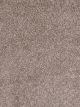 Show Stopper II Residential Carpet Color: Log Cabin - Dreamweaver by Engineered Floors