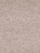 Show Stopper I Residential Carpet Color: Fawn Beige - Dreamweaver by Engineered Floors