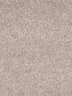 Show Stopper II Residential Carpet Color: Fawn Beige - Dreamweaver by Engineered Floors