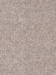 World Class II Residential Carpet Color: Morning Dew - Dreamweaver by Engineered Floors