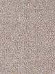 Parade Residential Carpet Color: Morning Dew - Dreamweaver by Engineered Floors