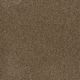 Toast of the Town Residential Carpet Color: Sandalwood - Dreamweaver by Engineered Floors