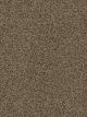 Sweepstakes Residential Carpet Color: Agate - Dreamweaver by Engineered Floors