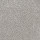 Trendsetter I Residential Carpet Color: Sparkling Dew - Dreamweaver by Engineered Floors