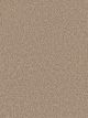 Cape Cod Residential Carpet Color: Cashew - Dreamweaver by Engineered Floors