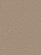 Montauk Residential Carpet Color: Cashew - Dreamweaver by Engineered Floors