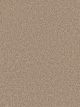 Montauk Residential Carpet Color: Cashew - Dreamweaver by Engineered Floors