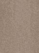 First Step Residential Carpet Color: Doeskin - Dreamweaver by Engineered Floors
