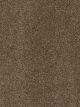 Cedar Creek Residential Carpet Color: Black Walnut - Dreamweaver by Engineered Floors