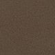 First Step Residential Carpet Color: Barnwood - Dreamweaver by Engineered Floors