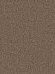 Cape Cod Residential Carpet Color: Cocoa - Dreamweaver by Engineered Floors