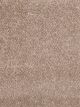 Show Stopper I Residential Carpet Color: Straw - Dreamweaver by Engineered Floors