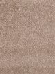 Show Stopper II Residential Carpet Color: Straw - Dreamweaver by Engineered Floors