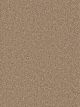 Star Struck Residential Carpet Color: Bamboo - Dreamweaver by Engineered Floors