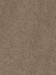 Cedar Creek Residential Carpet Color: Taupe - Dreamweaver by Engineered Floors