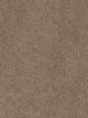 Sweepstakes Residential Carpet Color: Taupe - Dreamweaver by Engineered Floors