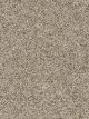 Confetti III Residential Carpet Color: Pale Vista - Dreamweaver by Engineered Floors
