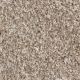 West Brow Residential Carpet Color: Haystack - Dreamweaver by Engineered Floors