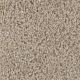 West Brow Residential Carpet Color: Natural Pebble - Dreamweaver by Engineered Floors