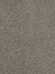 Hollywood Residential Carpet Color: Baltic Birch - Dreamweaver by Engineered Floors