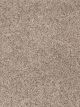 Epic I Residential Carpet Color: Tuscan Sun - Dreamweaver by Engineered Floors