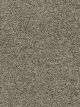 Confetti II Residential Carpet Color: Mountain View - Dreamweaver by Engineered Floors