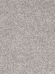 Parade Residential Carpet Color: Pearl Stone - Dreamweaver by Engineered Floors