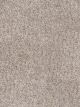 Epic II Residential Carpet Color: Oyster Opal - Dreamweaver by Engineered Floors