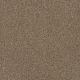 Toast of the Town Residential Carpet Color: Oakfield - Dreamweaver by Engineered Floors