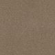 Star Struck Residential Carpet Color: Sawgrass - Dreamweaver by Engineered Floors