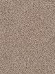 Sweepstakes Residential Carpet Color: Claystone - Dreamweaver by Engineered Floors