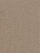 Montauk Residential Carpet Color: Mushroom - Dreamweaver by Engineered Floors
